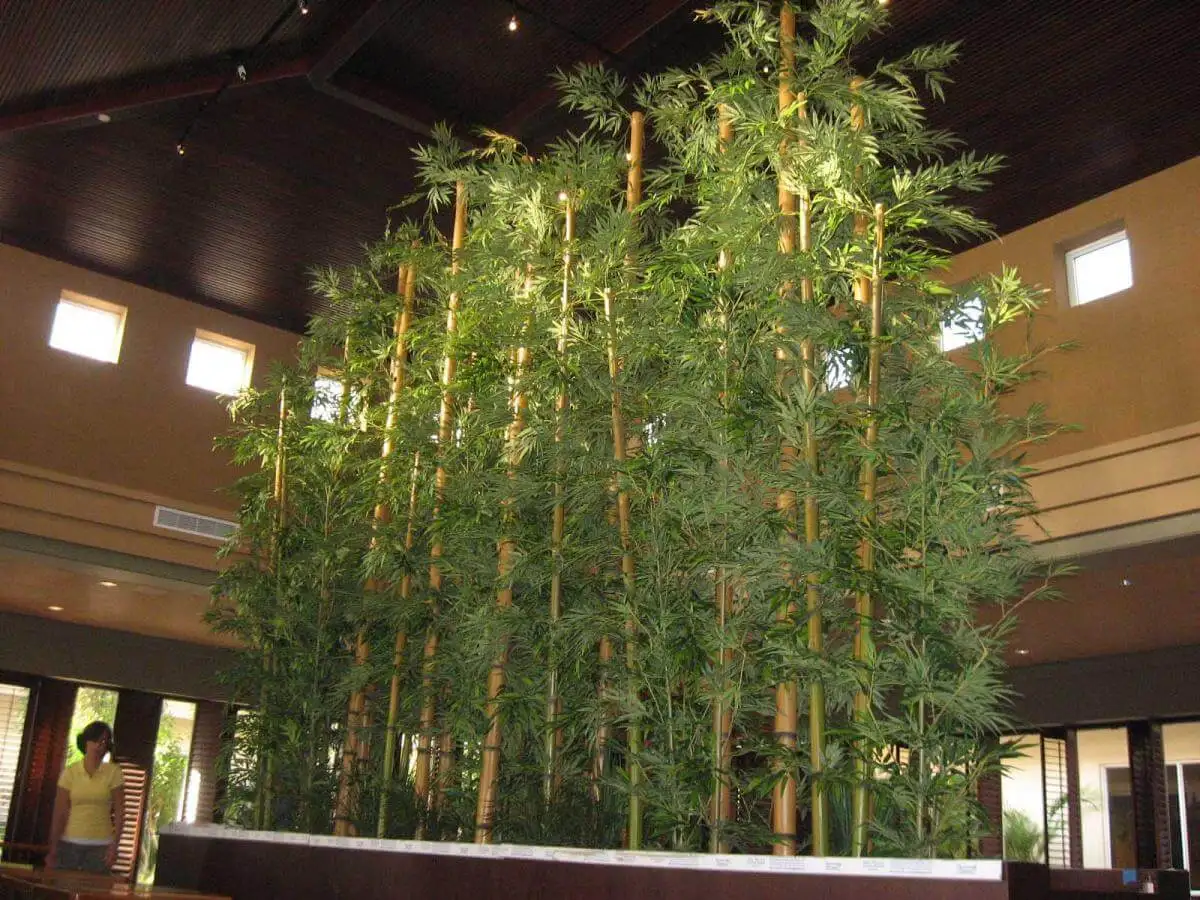 artificial bamboo tree natural golden trunks big leaf PE real touch  Amazon hot sale items BSCI factory direct supply hebei