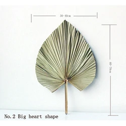 Ins Popular Wedding Party Decorative / shop deco / Home deco / Real Natural Flower Large Dried Palm Leaves