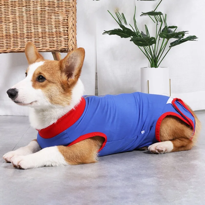 Pet Recovery Suit Dog Surgery Sterilization Service Cotton Recovery Clothes For Cats Dogs Pets With Zipper