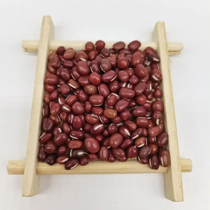  Красная каучуковая фасоль красного цвета экспортного класса маленькие красные адзуки фасоли Длинная