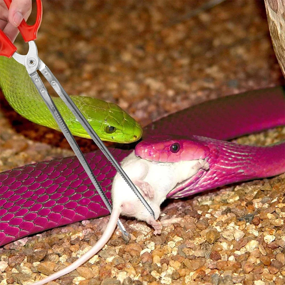 Snake Feeding Tongs Reptile Feeding Tongs Extra Long Tweezers for Bearded Dragon Reptile Tank Accessories Terrarium Supplies