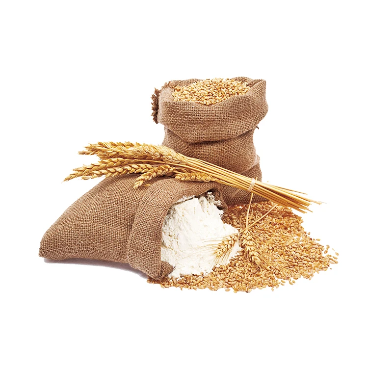 
100% Organic Long Wheat Grain at Lowest Market Prices 