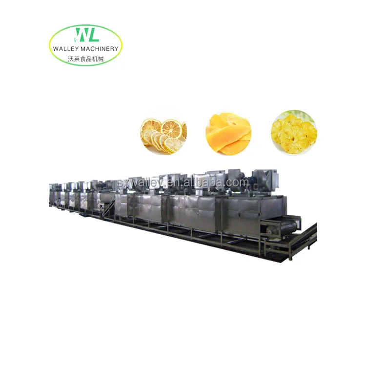High Rate of Rebuy industrial fruits food/meat/nut/seaweed/seafood/vegetable tomato mesh belt dryer