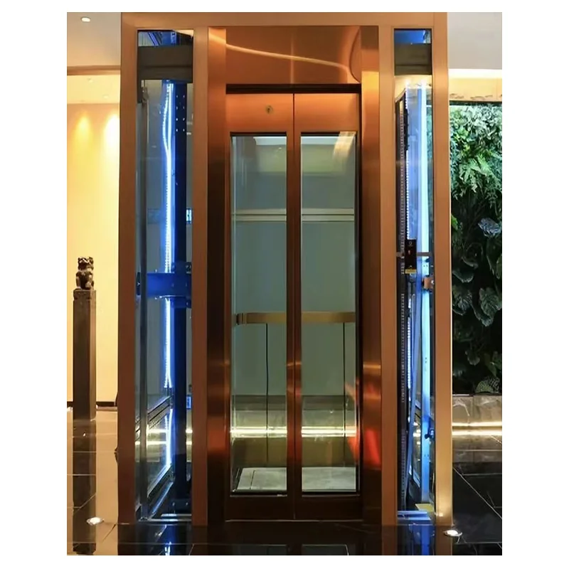 Small Villa  Panoramic sightseeing  for Home 2 Person Residential Lift Elevator