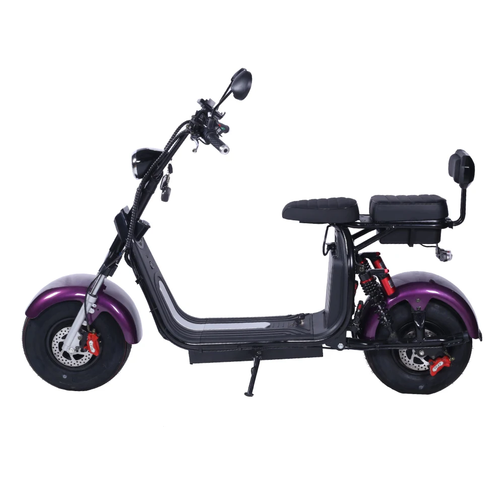 Hot Sale 1000W 1500W 2000W motor electric bicycle double removable battery citycoco electric scooter