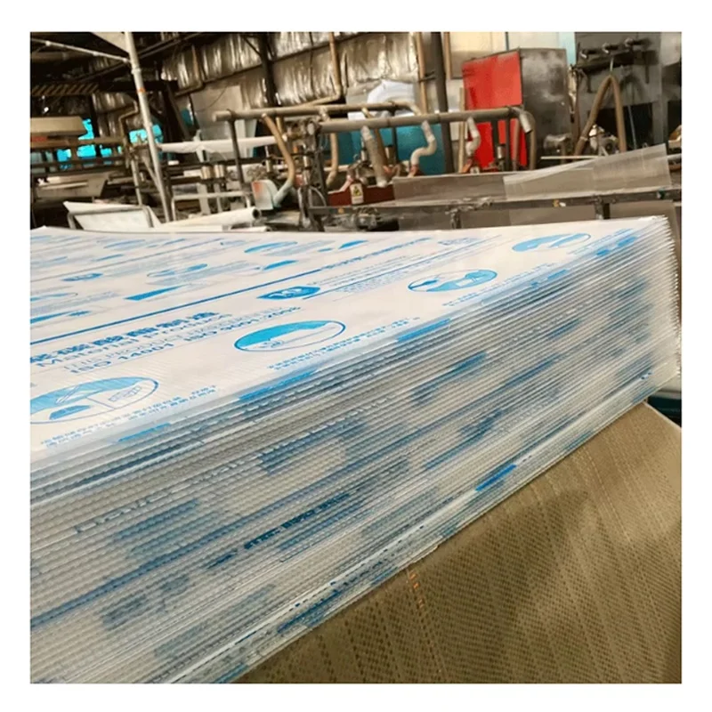 Twinwall поликарбонатные листы 10 мм Pc пластиковая полая