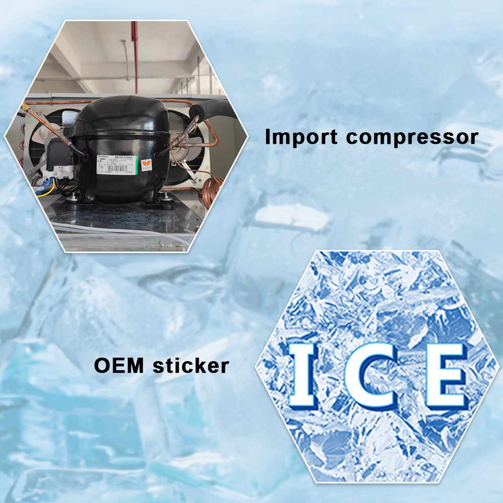 Single Door Bagged Ice Merchandiser Storage Bin