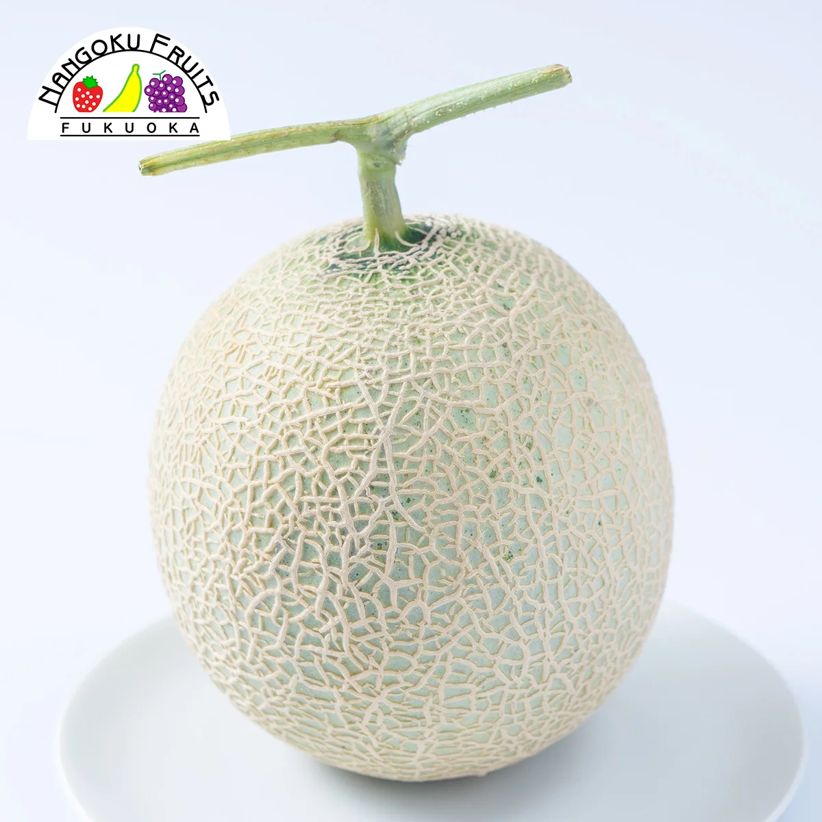 Japan reasonable price fresh exporters pack fruit pulp melons