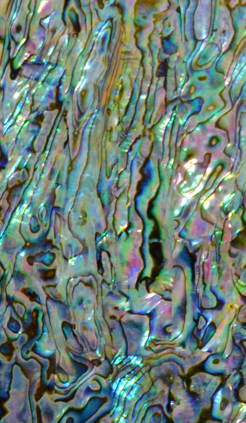 Customizable Mother of pearl shell veneer paua abalone paper laminate shell sheet DB-003