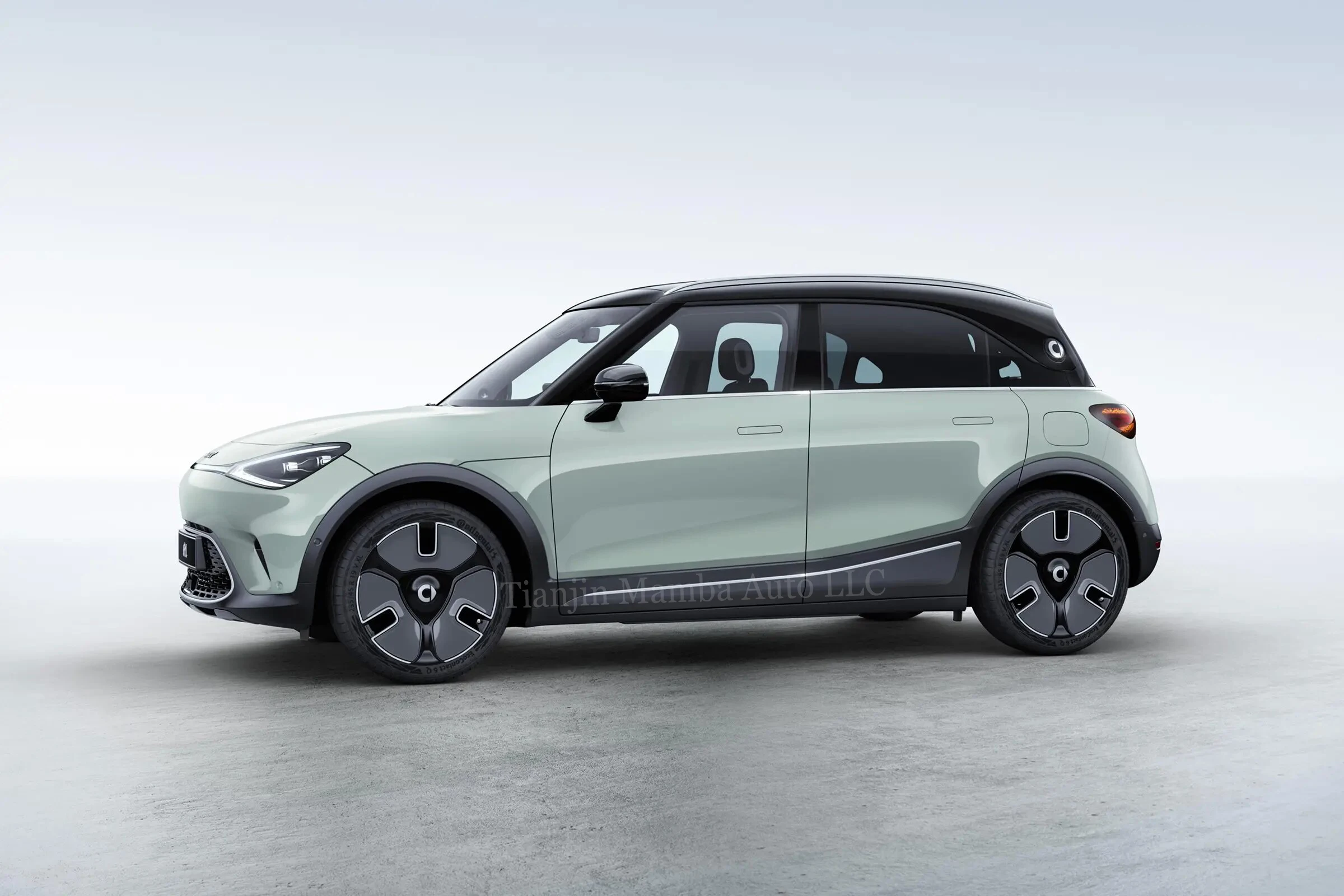 Mini Electric Car Smart Elf #1Five Seats Electric SUV New Energy Vehicles