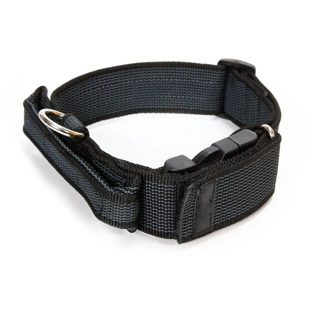Factory Custom  1 inch 2 inches tactical heavy duty Durable Nylon  dog collar with handle
