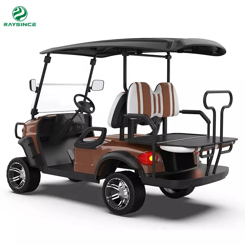 Raysince New model electric golf buggy good quality electric mini buggy electric golf