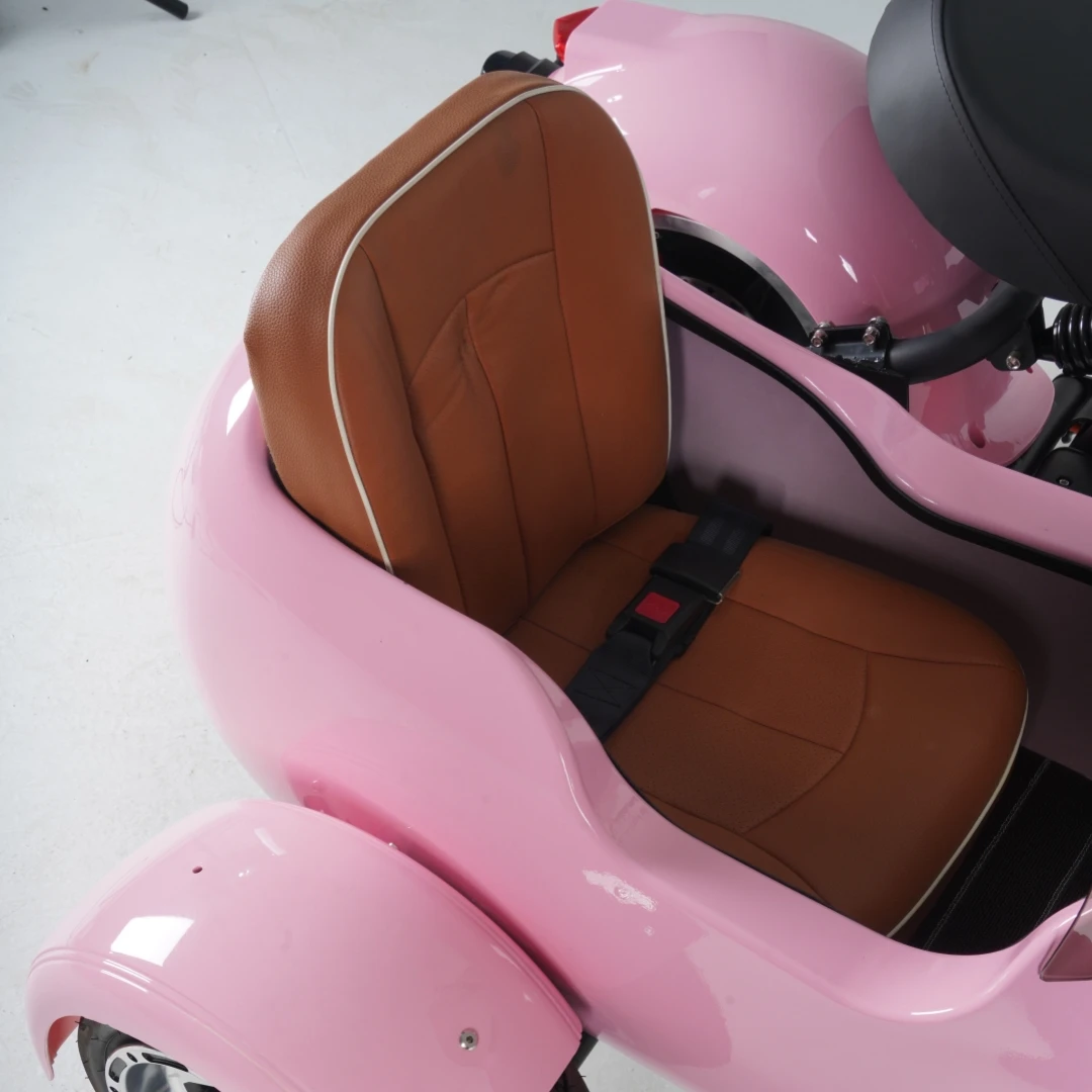 European Warehouse Citycoco Electric Scooter Sidecar with Leather Saddle for Kid Pet Adult