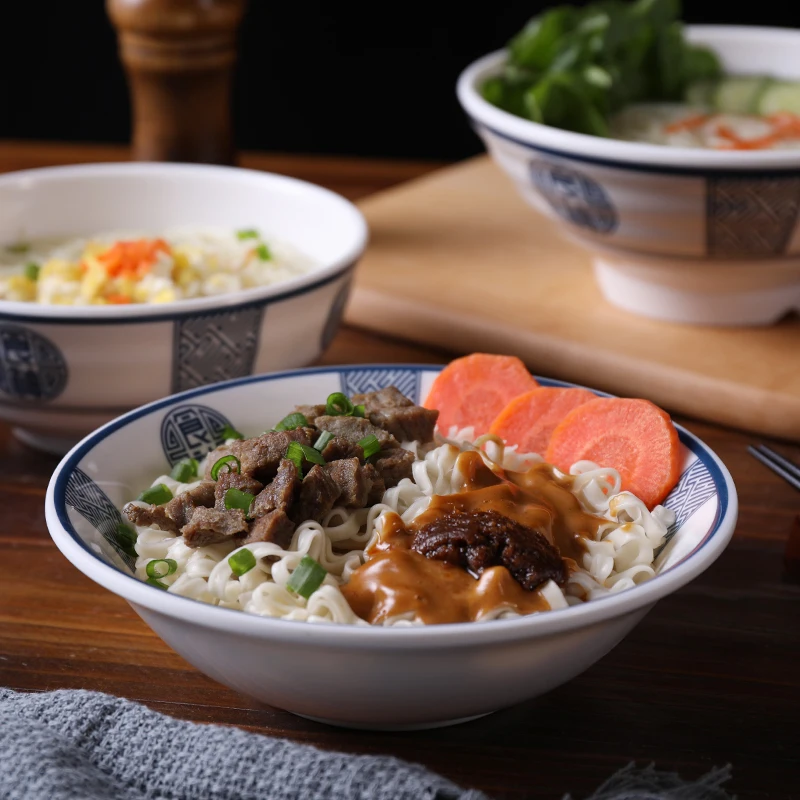 
Hot selling noodle pasta serving bowls melamine bowls with soup spoon set 