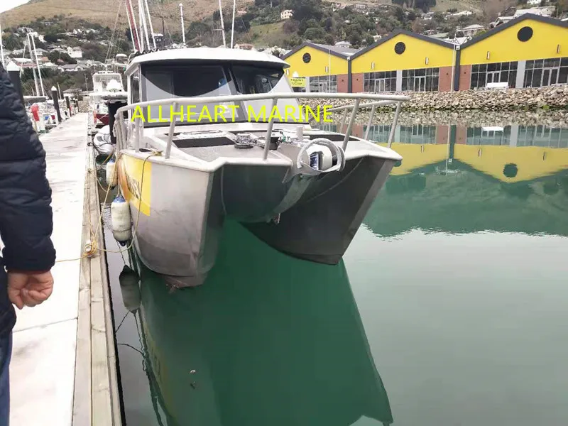 New Aluminum Catamaran fishing boat for you