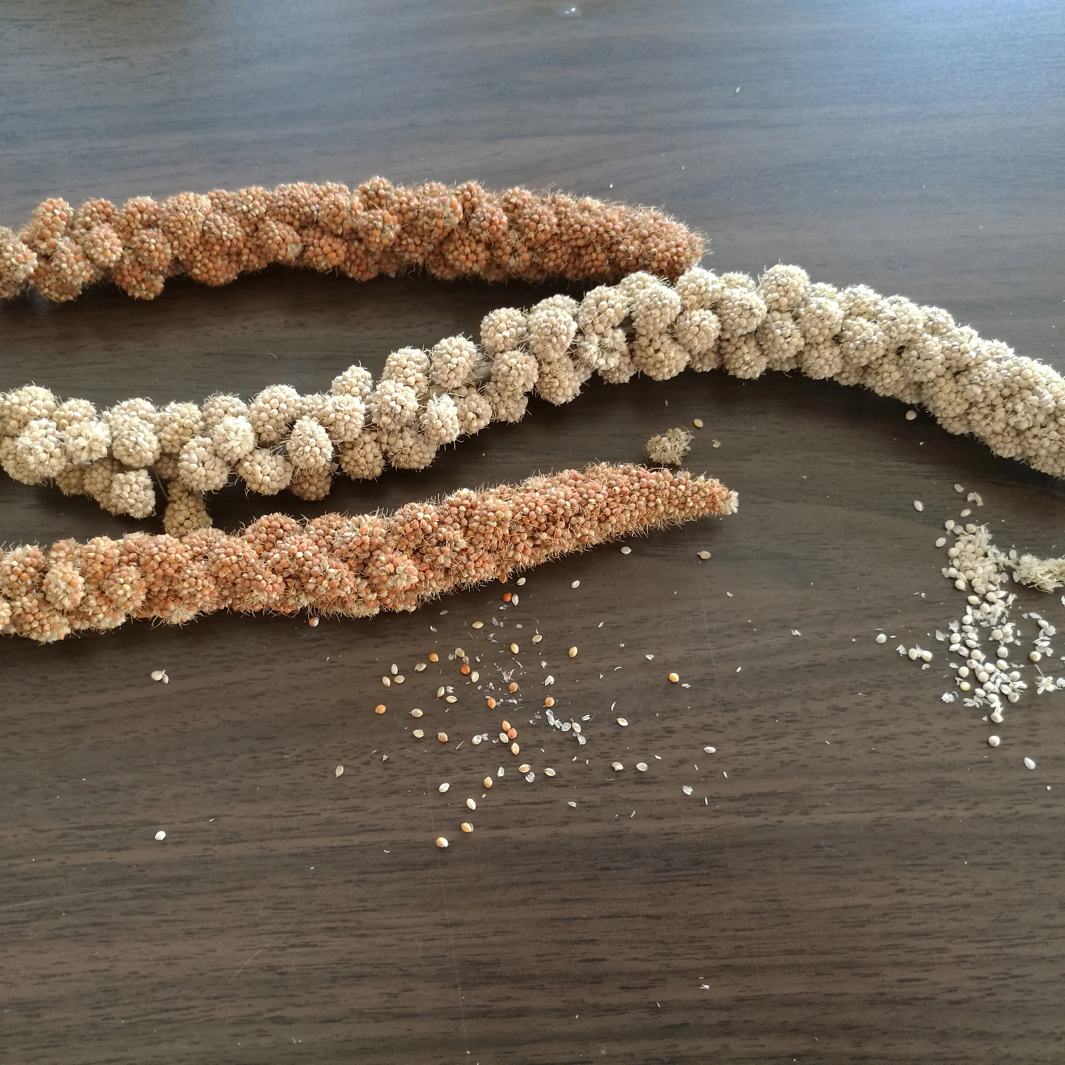 Китай, распродажа, птичьи продукты, мило для проса