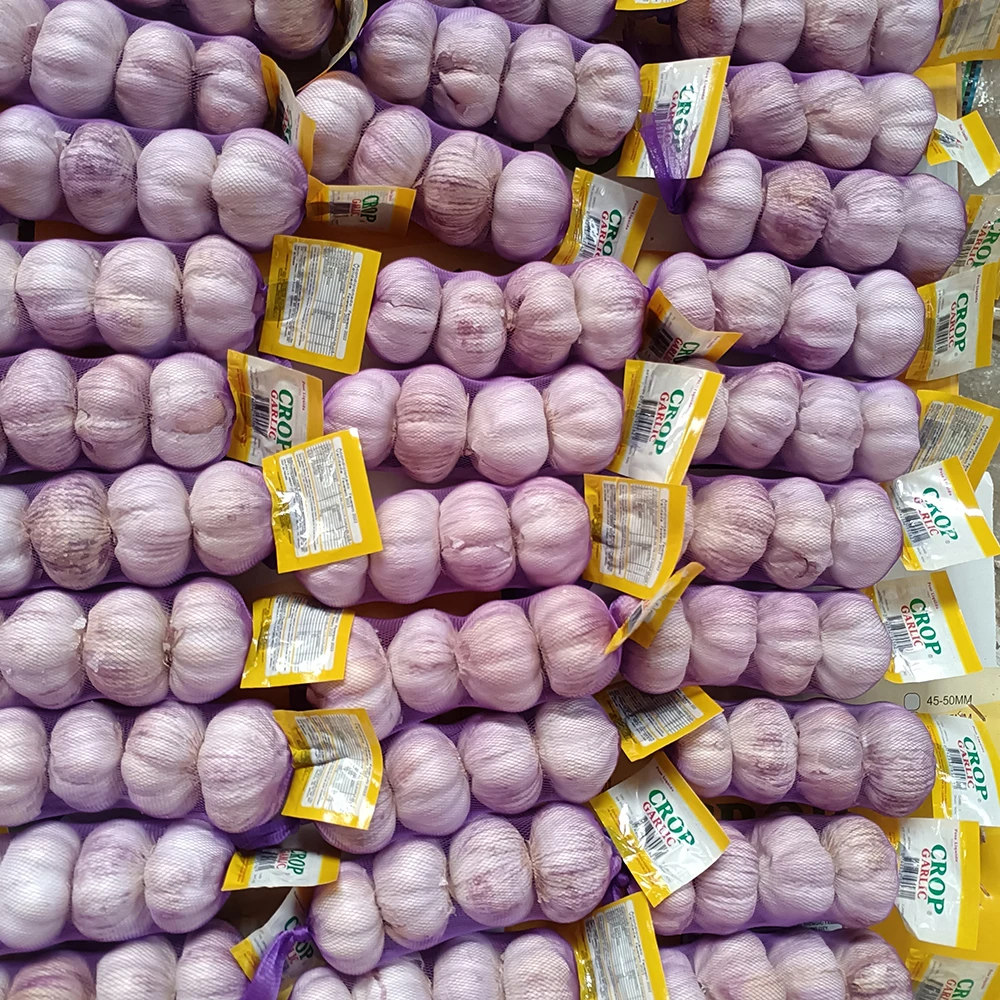 4.5-5.0cm 5.0-5.5cm Chinese fresh garlic in bulk With Best Quality