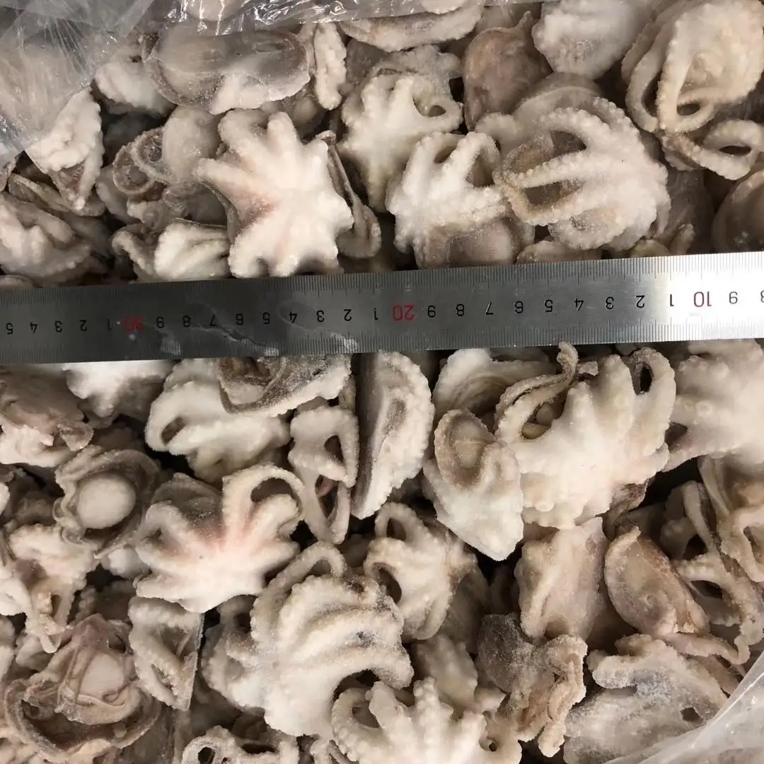 
Whole Cleaned Frozen Baby Vacuum Packed The Octopus 