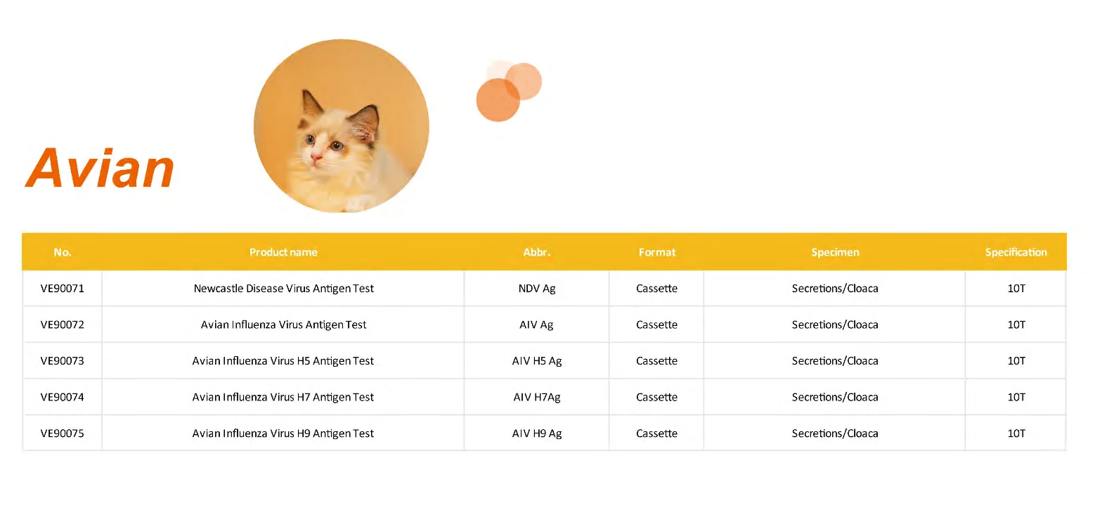 Vet Erinary rapid test Veterinary Kit Diagnostic Pet Rapid Test Canine  Combo Rapid Test