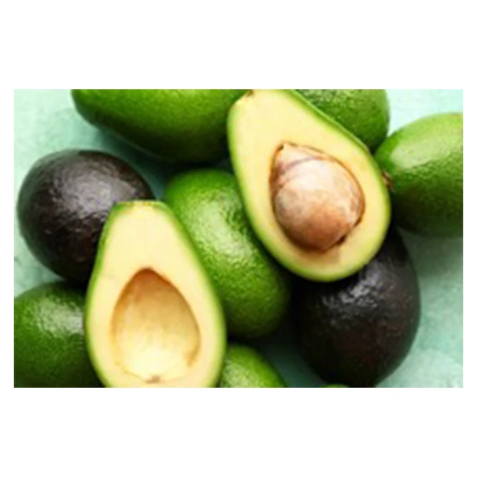 Healthy Fresh Premium Avocado From Mexico - High Quality, Best Price, Directly From Producers