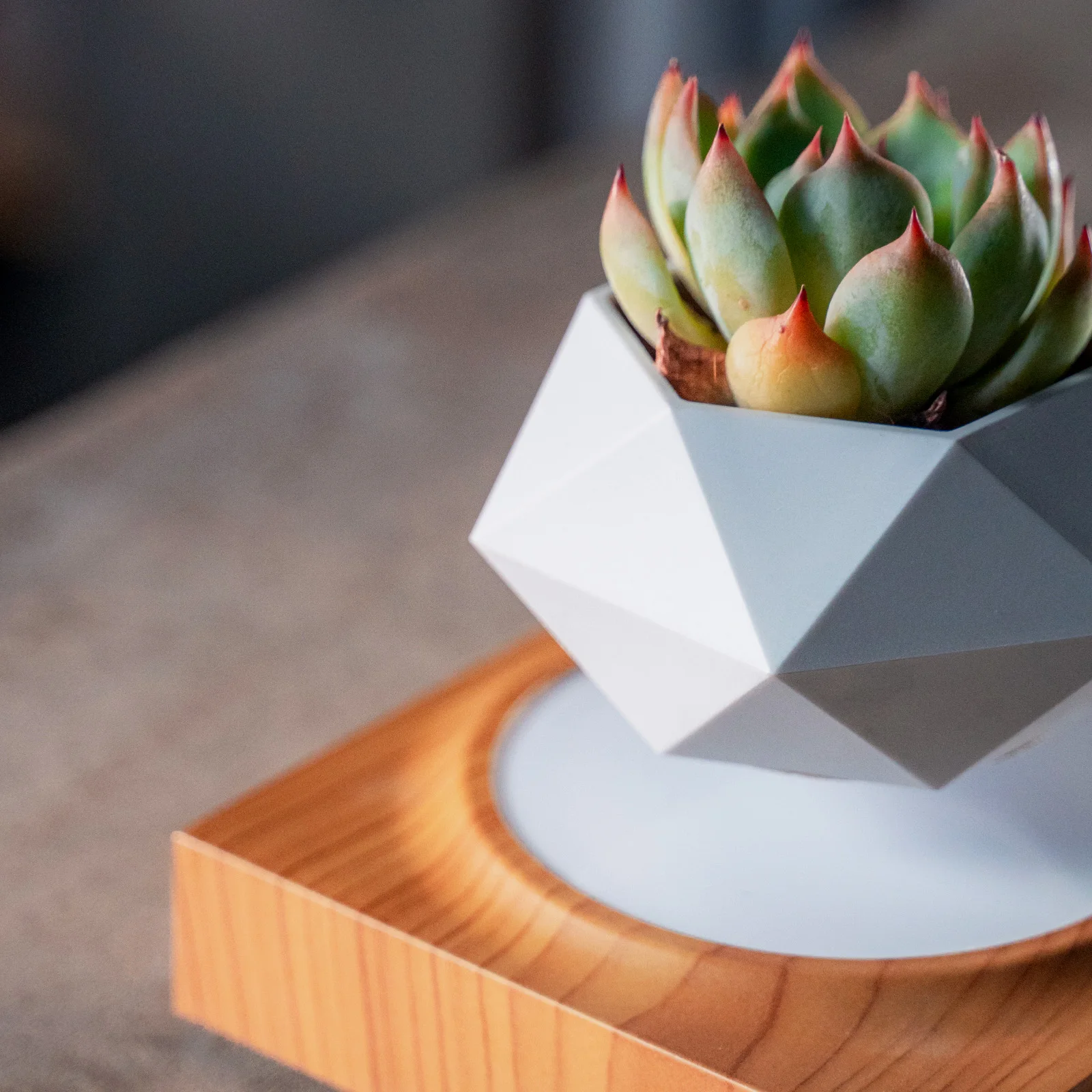 Magnetic Levitating Plant Pot Holder Wood Design Rotating Floating Pot Planter for Home Decorative Pot