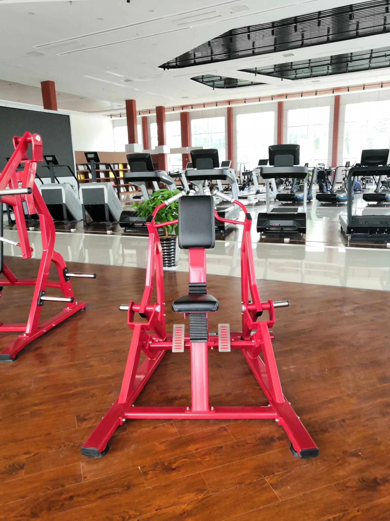 dezhou Gym equipment commercial hammer strength seated biceps machine fitness
