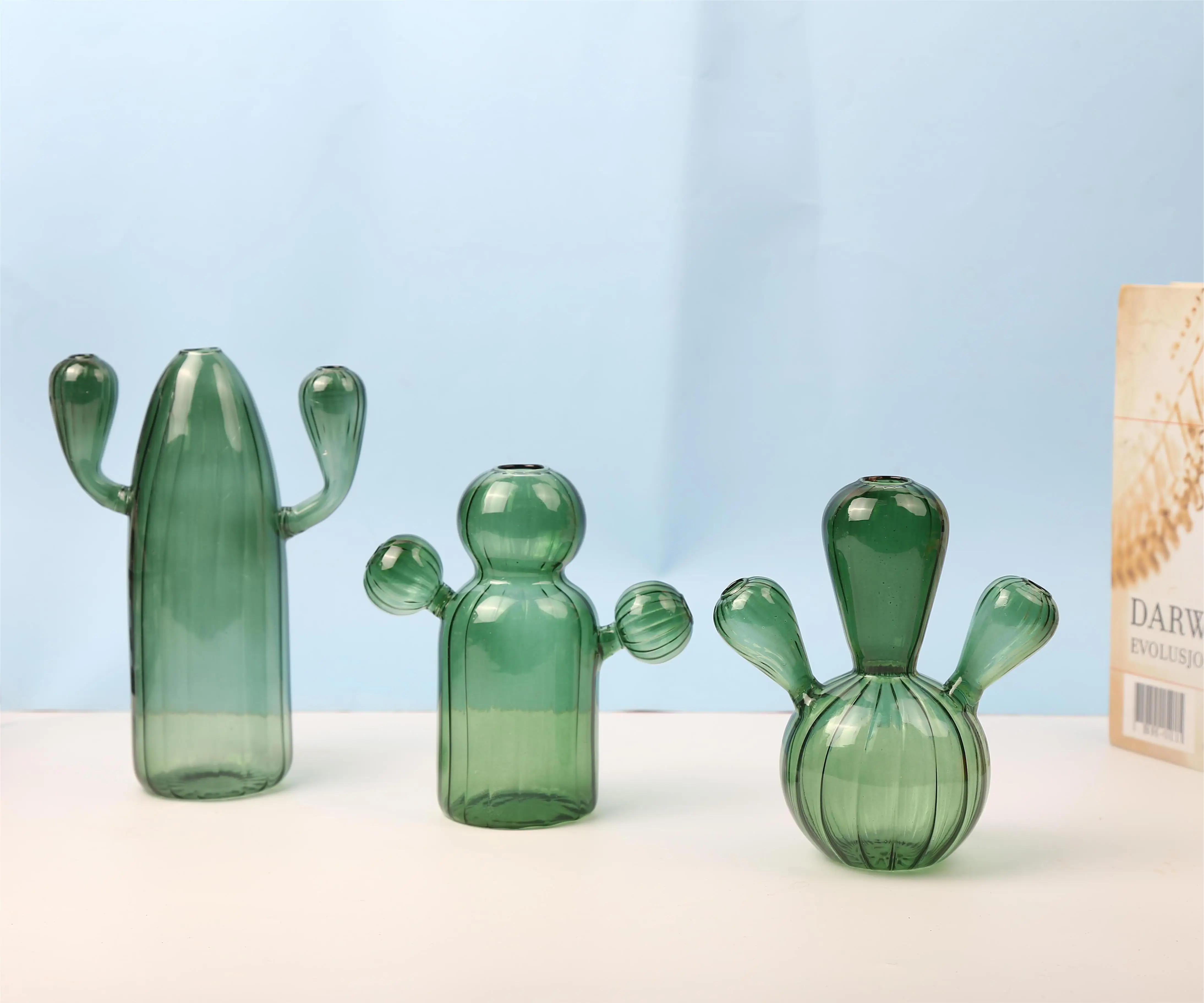 China Factory Direct Wholesale Cactus Shape Glass Vase Terrarium