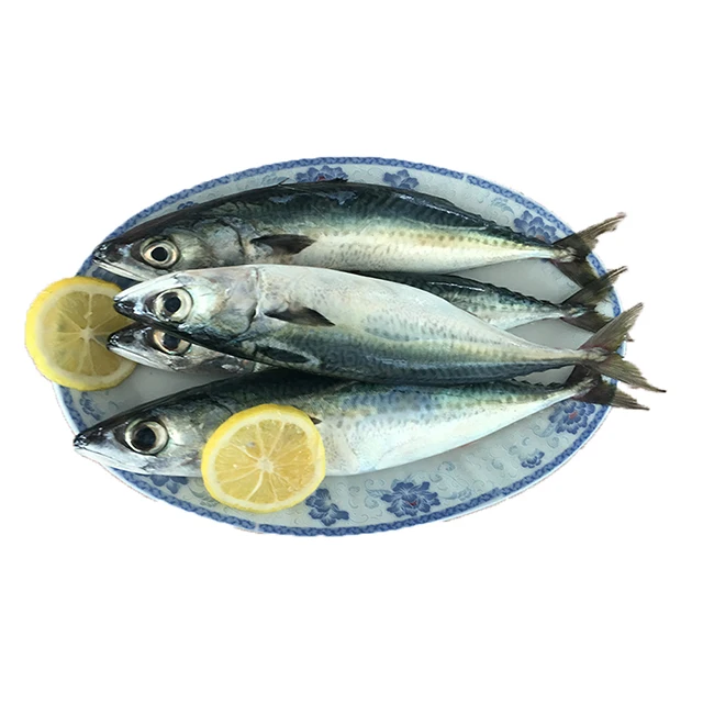 300 - 500g Fresh Sea Food Pacific Mackerel Fish Frozen