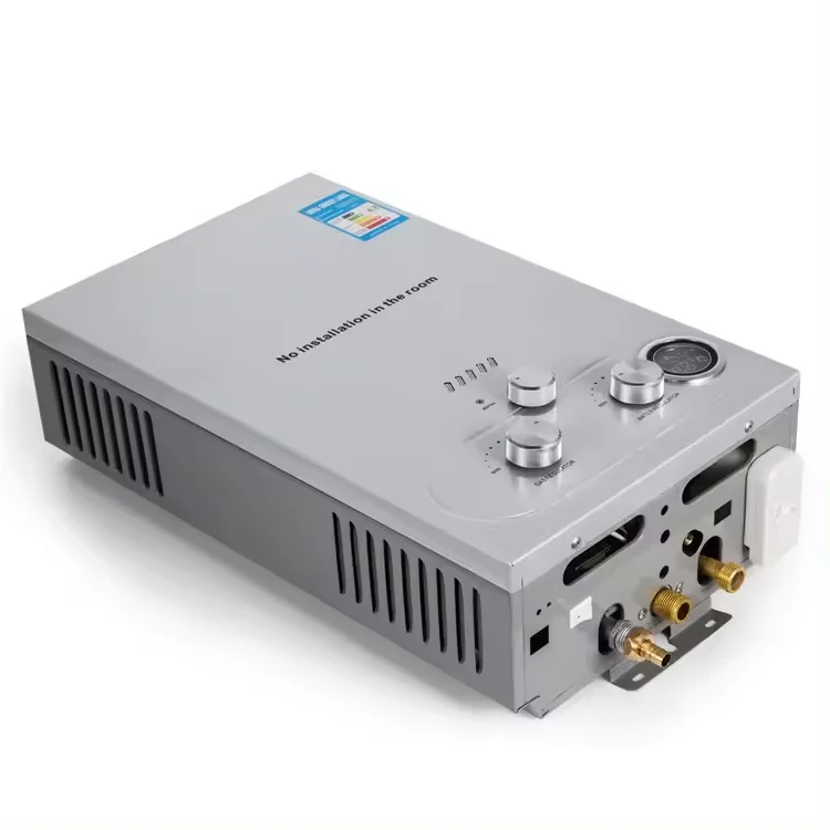 Best Selling Gas Water Heater Homeuse Household Endless Instant Hot LPG/LNG Water Heater