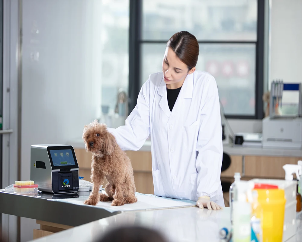EUR VET High Quality Animal Blood Chemistry Analyzer Vet Biochemistry Machine For Veterinary Clinic Use