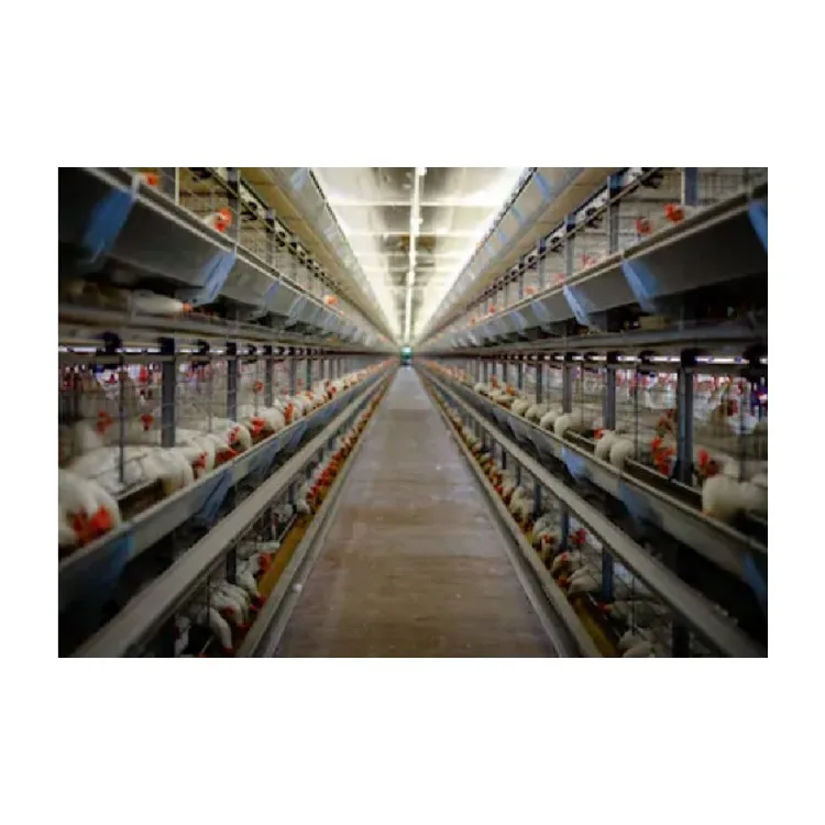 Настраиваемый сборный куриный сарай/Куриный домик-Стальные Каркасные решения