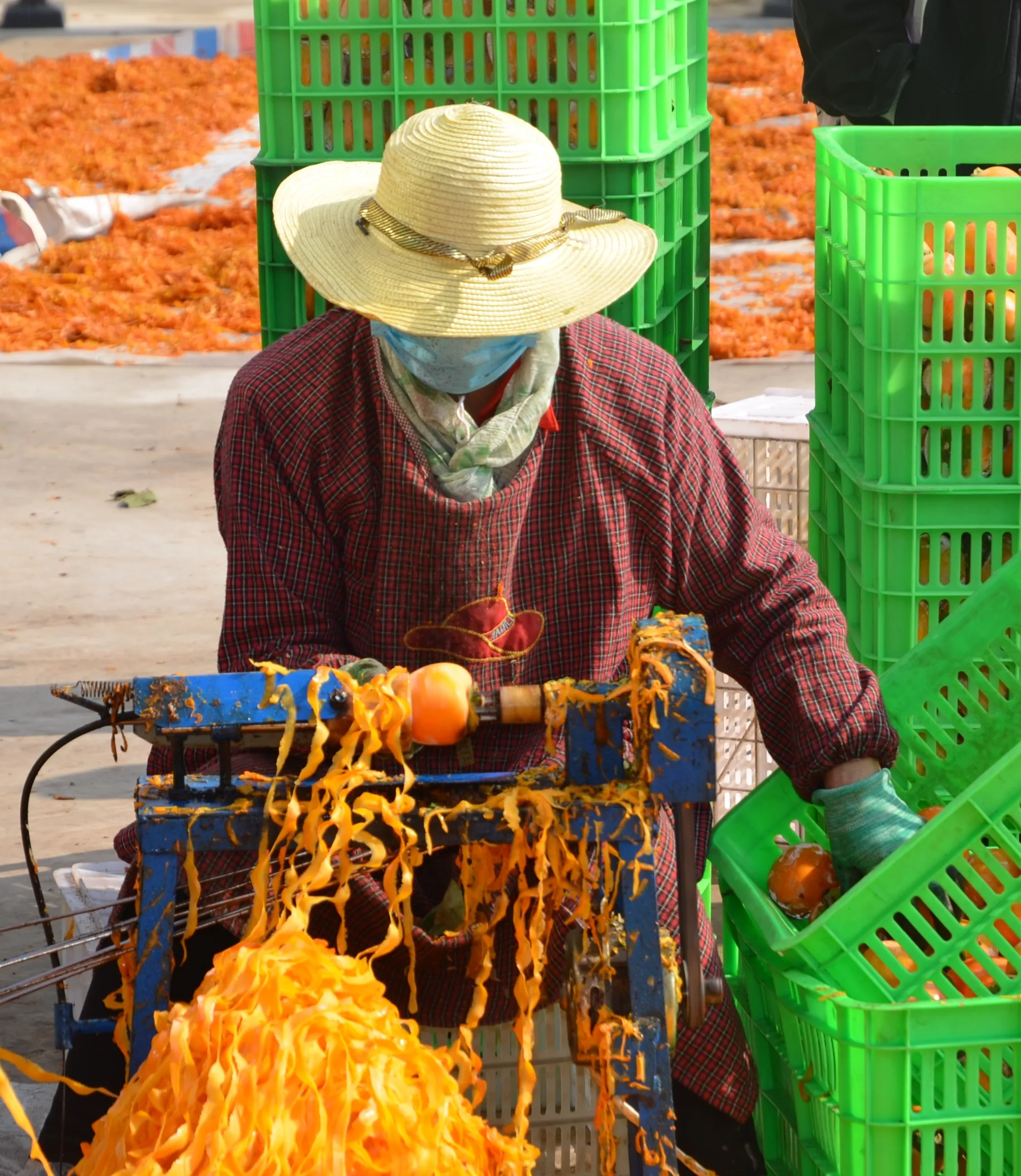 Soft Dried Persimmons Hoshigaki Snacks Most Popular in Korean