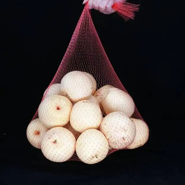 Eco-friendly PP HDPE Small Net Mesh Lemon Potato Fruit Vegetable Packaging Bags Made in China
