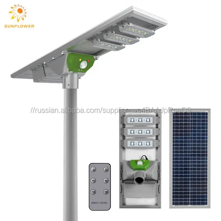  Новый Гуандун Солнечный открытый сад светодиодный уличный