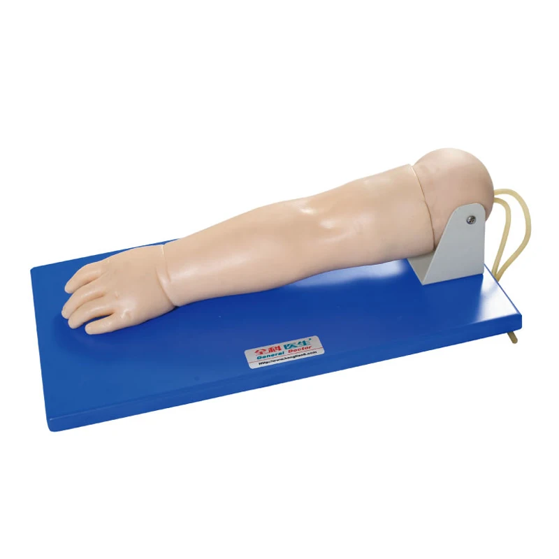 General Doctor Pediatric Veinpuncture Arm Model for Schools Puncture Training
