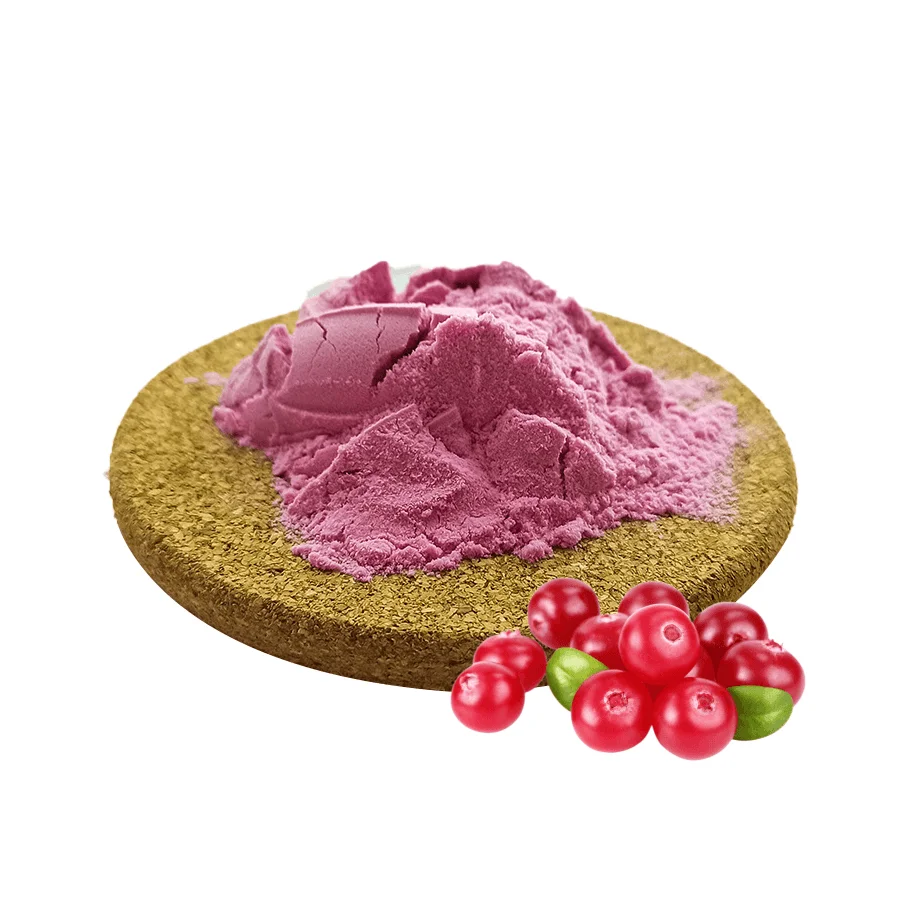 Hot Sale Concentrated Organic Fruit Juice Water Soluble Cranberry Powder
