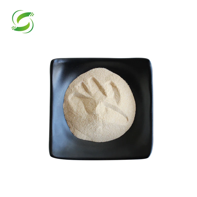 HIgh quality cold pressed hemp seed protein powder bulk price