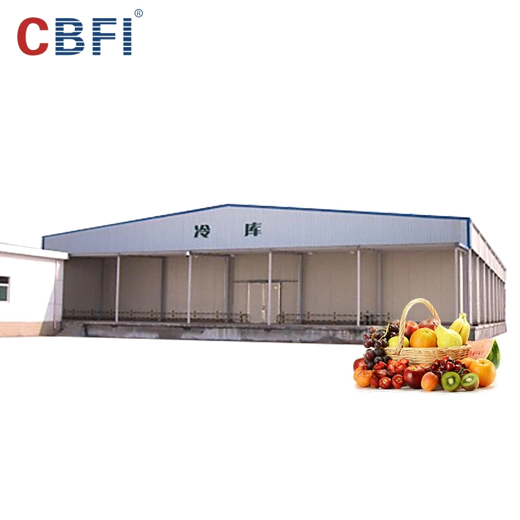 Best price frozen cold room for meat and fish storage