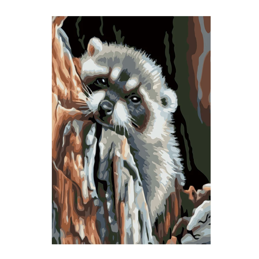 
Manufacturers selling hand-painted 40*50CM A daze raccoon DIY oil painting by numbers 