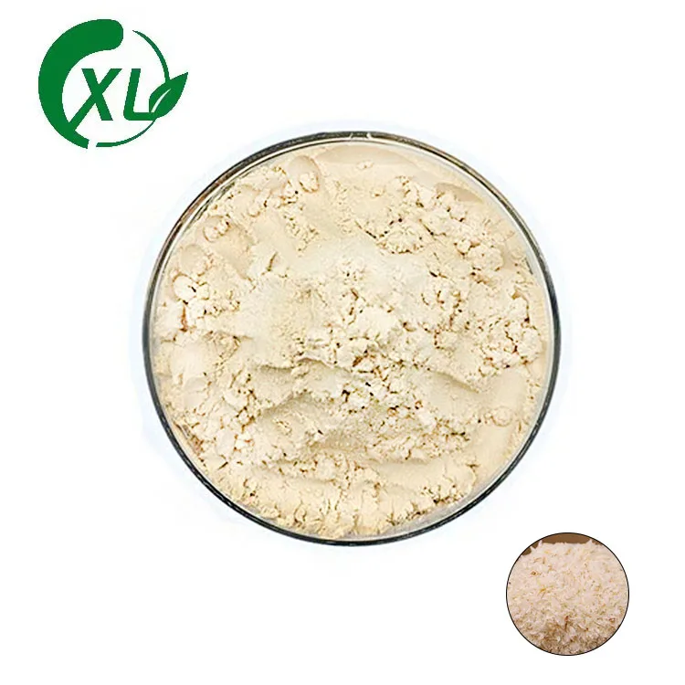 Psyllium Husk Powder 99% Psyllium Husk Extract manufacturer supply