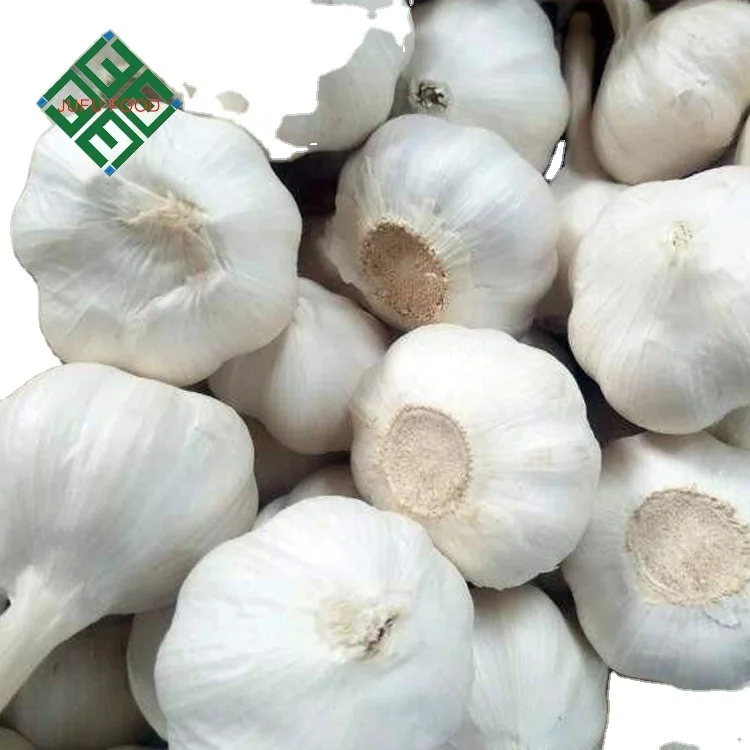 Garlic fresh pure white red garlic