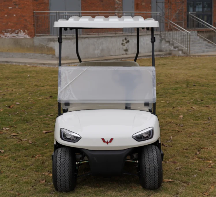 Chinese Product Vintage Classic Moke Car Travel Electric Sightseeing Car