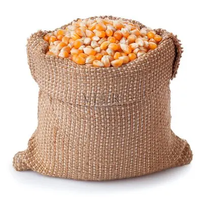 Latest hot selling seasonal fresh farmhouse high-quality corn a ton of fresh corn