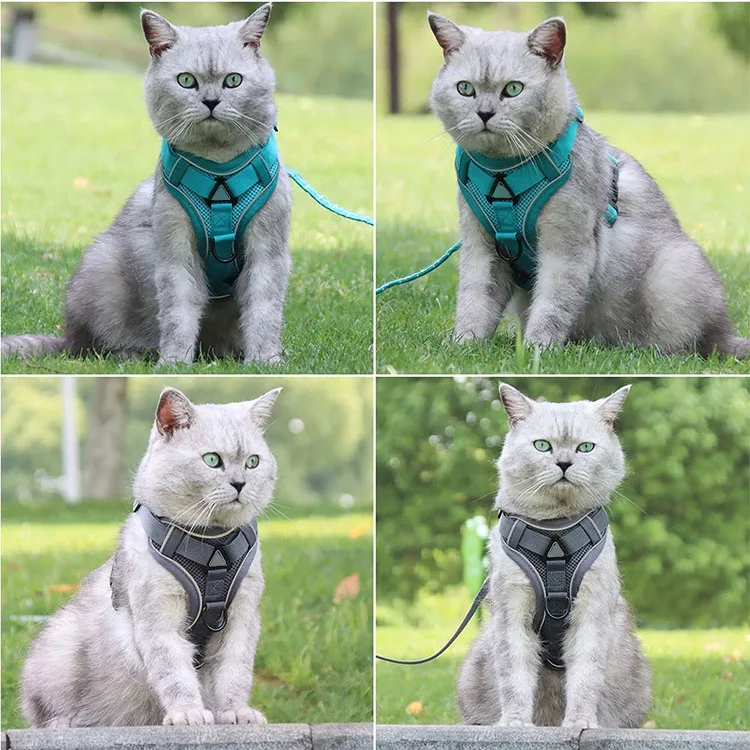 Dog Harness with 150cm Nylon Pets Leash Set No Pull No Choke Dog Vest Adjustable Reflective Breathable for Dogs