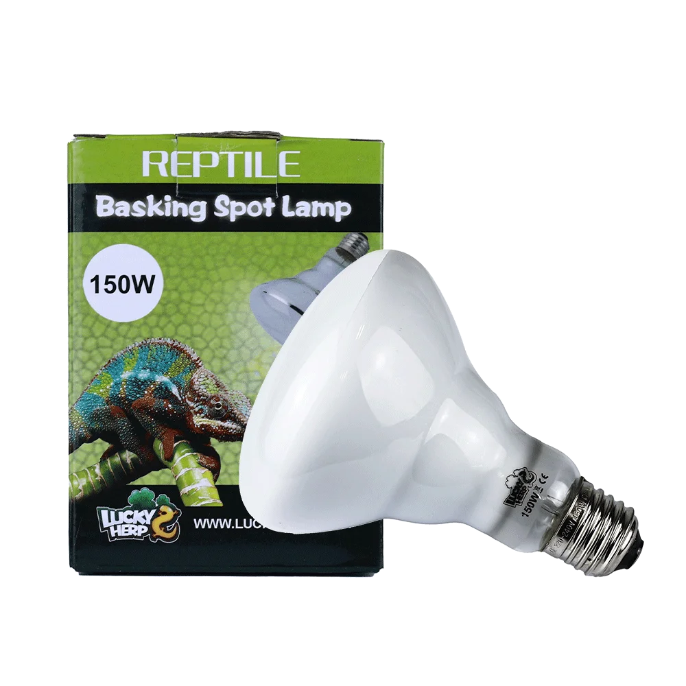 Jinxu 2025 Plastic Reptile Heat Lamp 50W 75W 100W 150W UVA Halogen Basking Lights Small Size for Amphibians