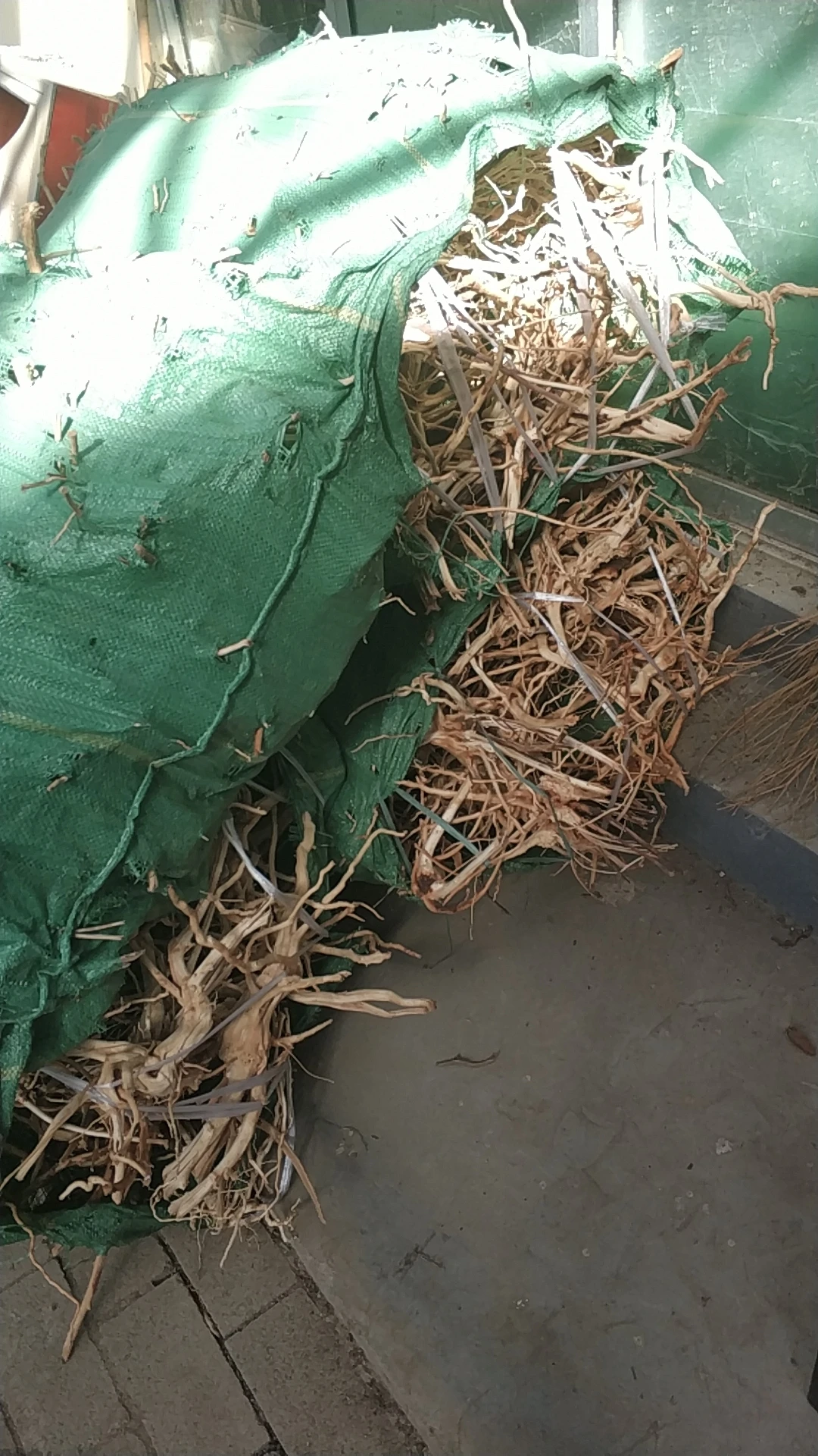 Аквариум и бонсай мангровая древесина driftwood root tweety