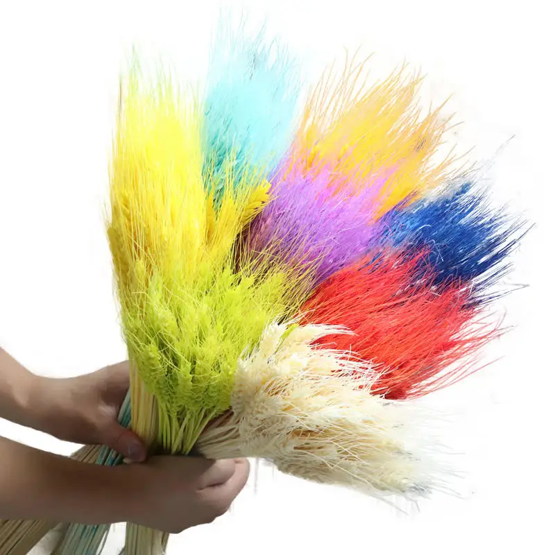 AYOYO OEM Best selling Dried wheat for home/wedding/park/school/party decoration colorful wheat wheat