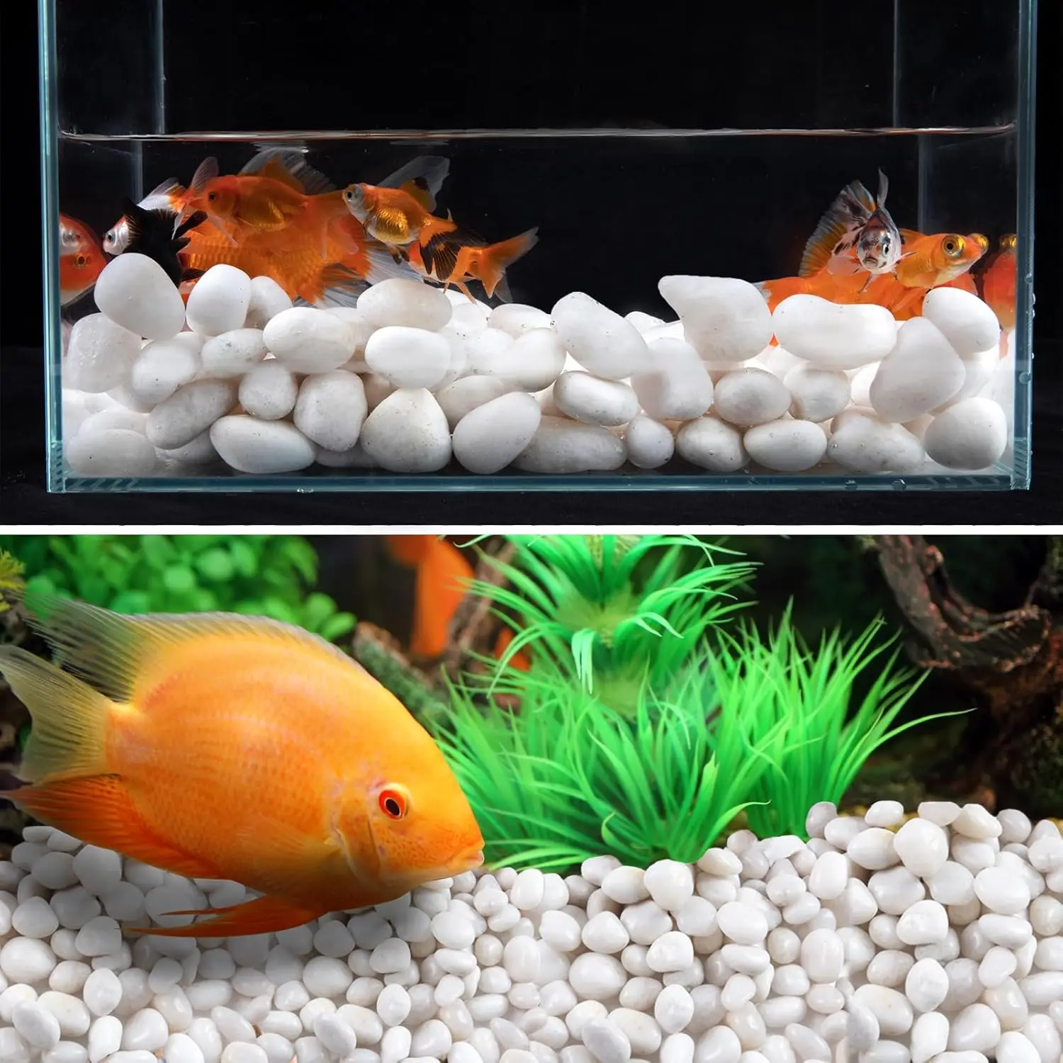 High Polished White River Rock  Pebbles for Indoor Plants or Outdoor Garden Landscaping Decorative Stones for Aquarium Fish Tank