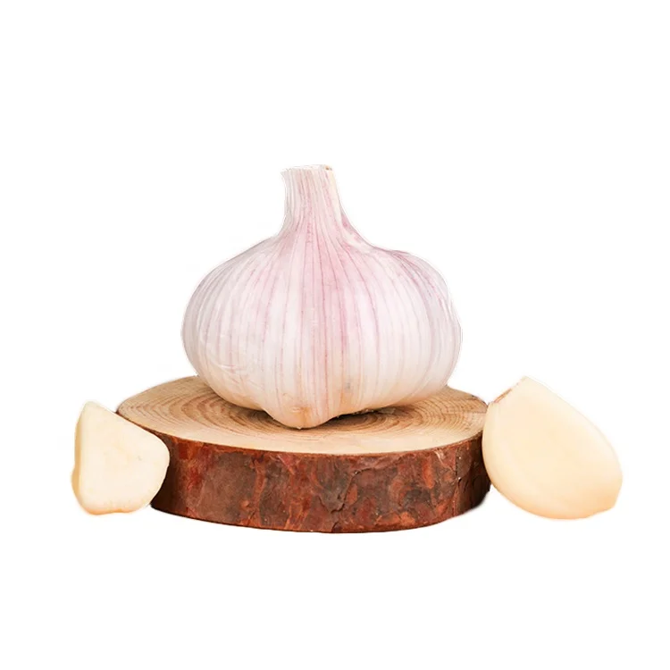 garlic price per ton Share factory price 3p 4p 5p 6p garlic powder hot bawang normal white garlic rate