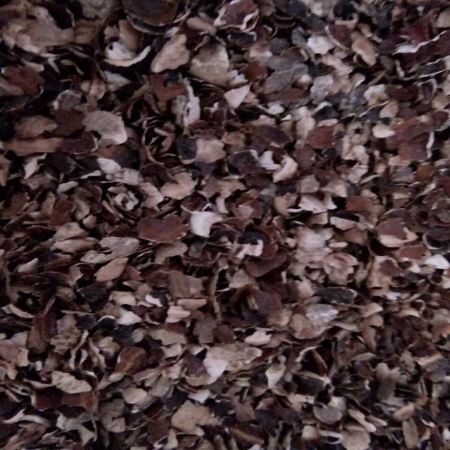WHOLESALE DRIED CASHEW HUSK POWDER/ CASHEW SHELL NUT WASTE, VIETNAM CASHEW HUSK